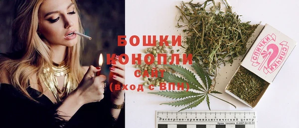 твердый Володарск