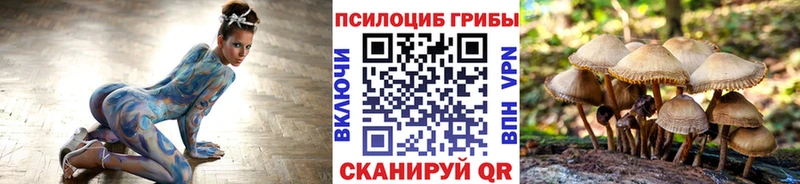 наркотики KRAKEN онион Галлюциногенные грибы Cubensis Новоржев